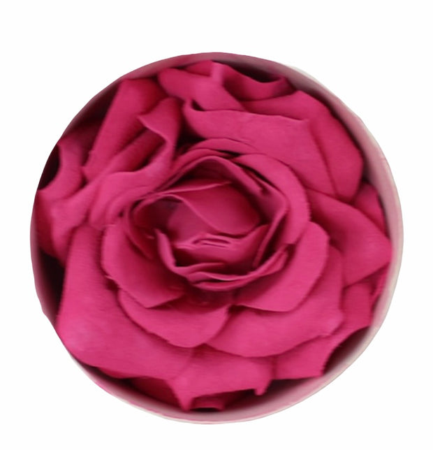 Harmony Rose Beauty Blush