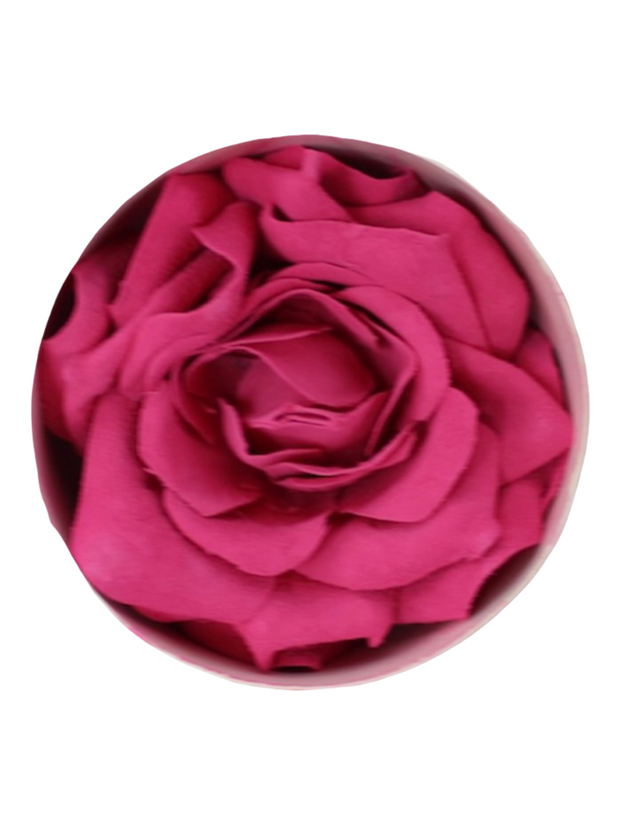 Harmony Rose Beauty Blush