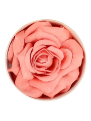 Petal Rose Blush