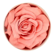 Petal Rose Blush
