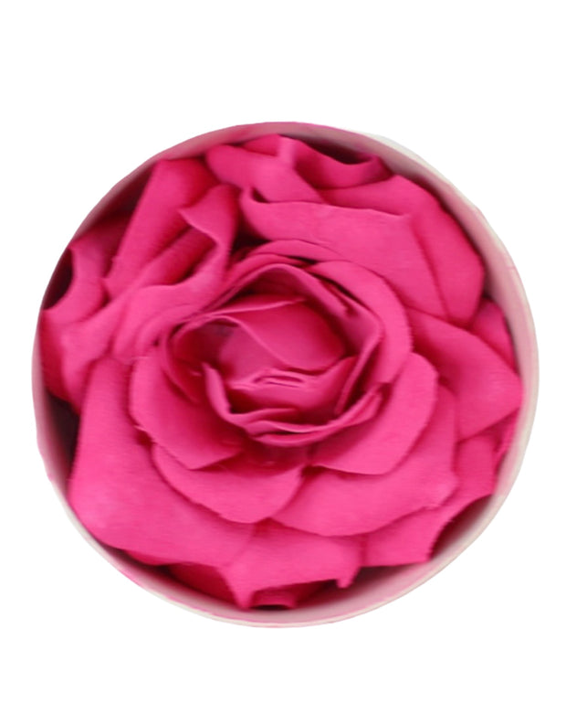 Pink Rose Beauty Blush