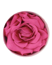 Pink Rose Beauty Blush + Lux essential 10 piece brush set + Kiyomi natural style lashes + Elite Lash Adhesive