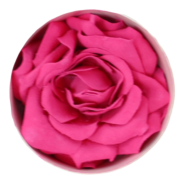 Pink Rose Beauty Blush